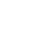 Professor