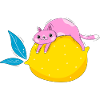 Cat and lemon