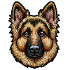German Shepherd – Intelligent and Loyal