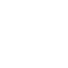Bridge Rectifier
