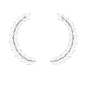 Letter w crown