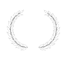 Letter s crown