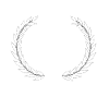 Letter V Crown