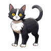 Chat mignon