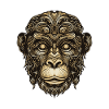 Monkey Portrait