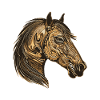 Horse Portrait