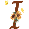 Lettre i tournesol papillon