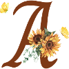Letter to Sunflower Butterfly