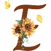 Letter e sunflower butterfly