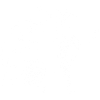 Chat blanc celte