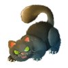 Katze 5