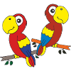 Amis perroquets