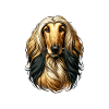Dog Face - Afghan Hound
