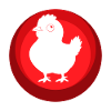 Chicken, Egg, Poultry