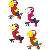 Meet parrots