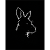 Kangaroo silhouette