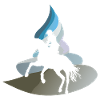 Dressage Dressage Riders Equestrian