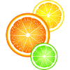 Agrumi Arancia Limone Lime