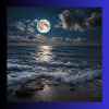 Full moon with sea