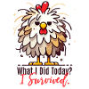 Funny Survival Chicken – Survived Today!