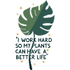Better Life Plants