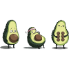 Avocado Body Evolution
