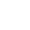 Mentor