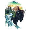 Bison