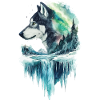 Hund