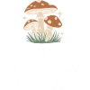 Mushroom Mushrooms Funghi Mushroom