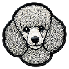 Poodle