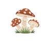 Champignons Champignons Champignon Champignon