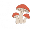 Champignons Champignons Champignon Champignon