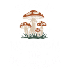 Mushroom Mushrooms Funghi Mushroom