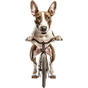 Bullterrier