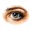 Eye