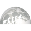 Fencing Evolution Fencing