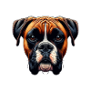 Dog Face - Boxer