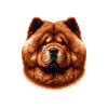 Dog Face - Chow Chow
