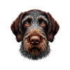 Dog Face - German Wirehaired