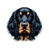 Dog Face - Gordon Setter
