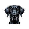 Dog Face - Great Dane