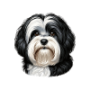 Dog Face - Havanese
