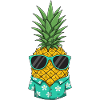 Kühle Ananas