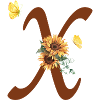 Letter x sunflower butterfly