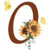 Letter o sunflower butterfly