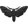Black Moth – Mystical Embroidered Pattern