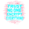 Retro Cryptography Spy Codebratenspionage