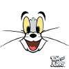 Tom And Jerry Costume Of Tom