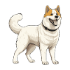 Akita Dog